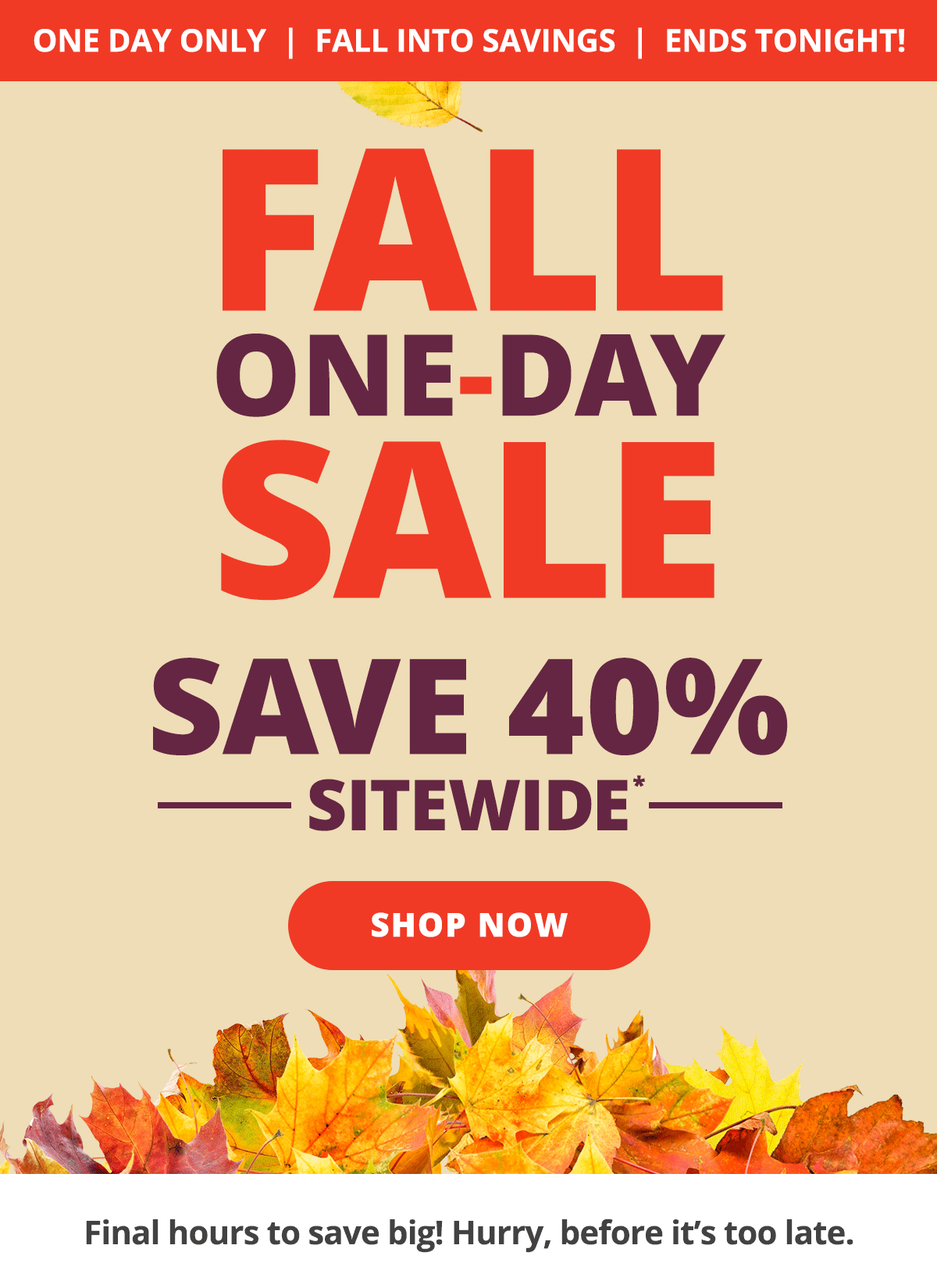 Fall One-Day Sale - Save 40% Sitewide