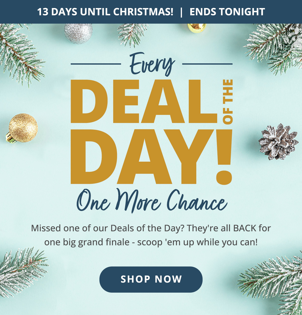 Every Deal of the Day! One More Chance. Missed one of our Deals of the Day? They're all BACK for one big grand finale - scoop 'em up while you can!