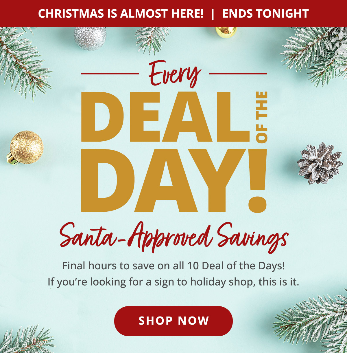 Every Deal of the Day! One More Chance. Missed one of our Deals of the Day? They're all BACK for one big grand finale - scoop 'em up while you can!