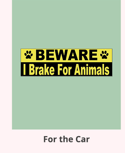 Shop Gifts for the Car