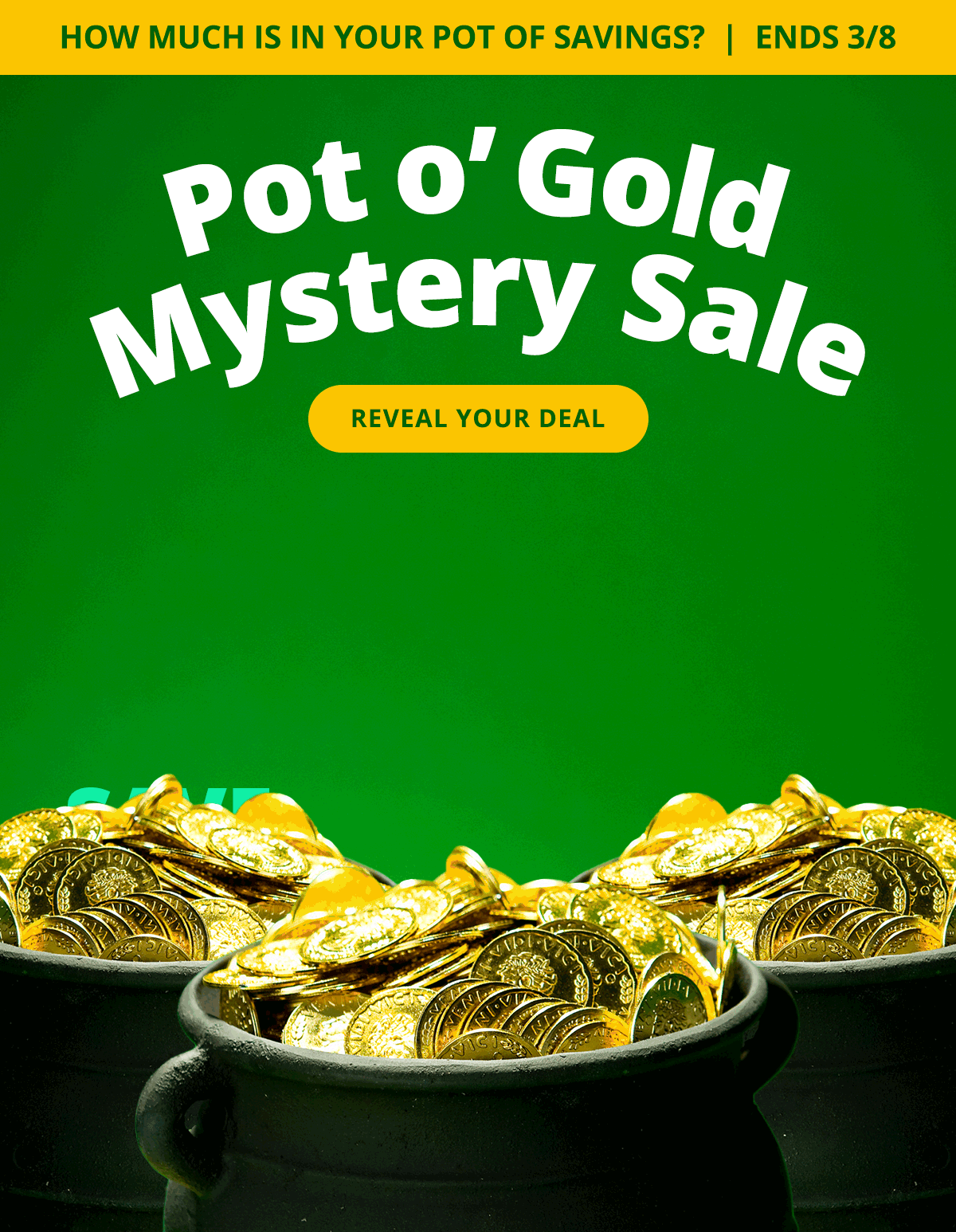 Mystery Sale! How much will you save? REVEAL YOUR DEAL >