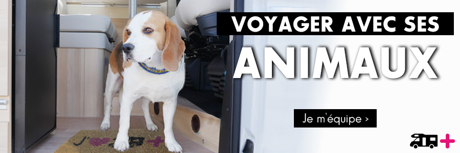 Voyager avec ses animaux