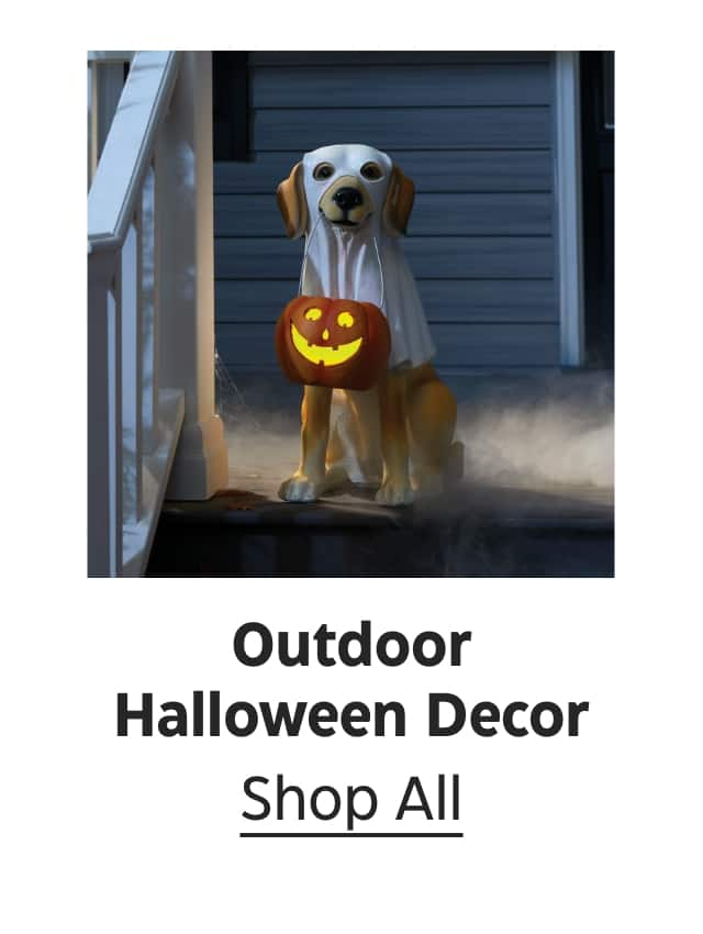 Outdoor Halloween Decor. Shop All.