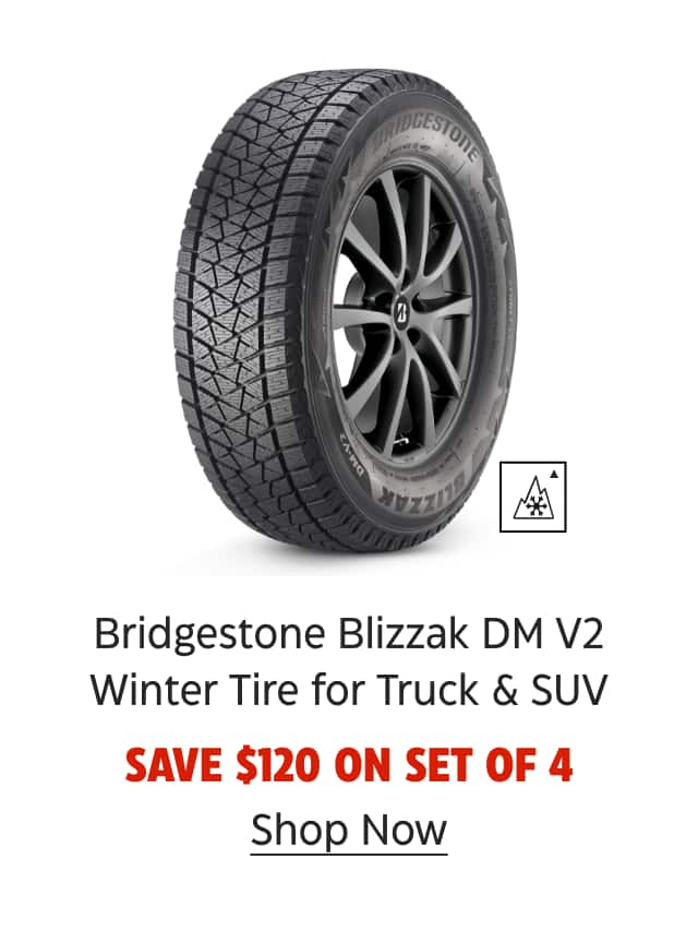 Bridgestone Blizzak DM V2 Winter Tire for Truck & SUV. Save $120 on set of 4. Shop Now.