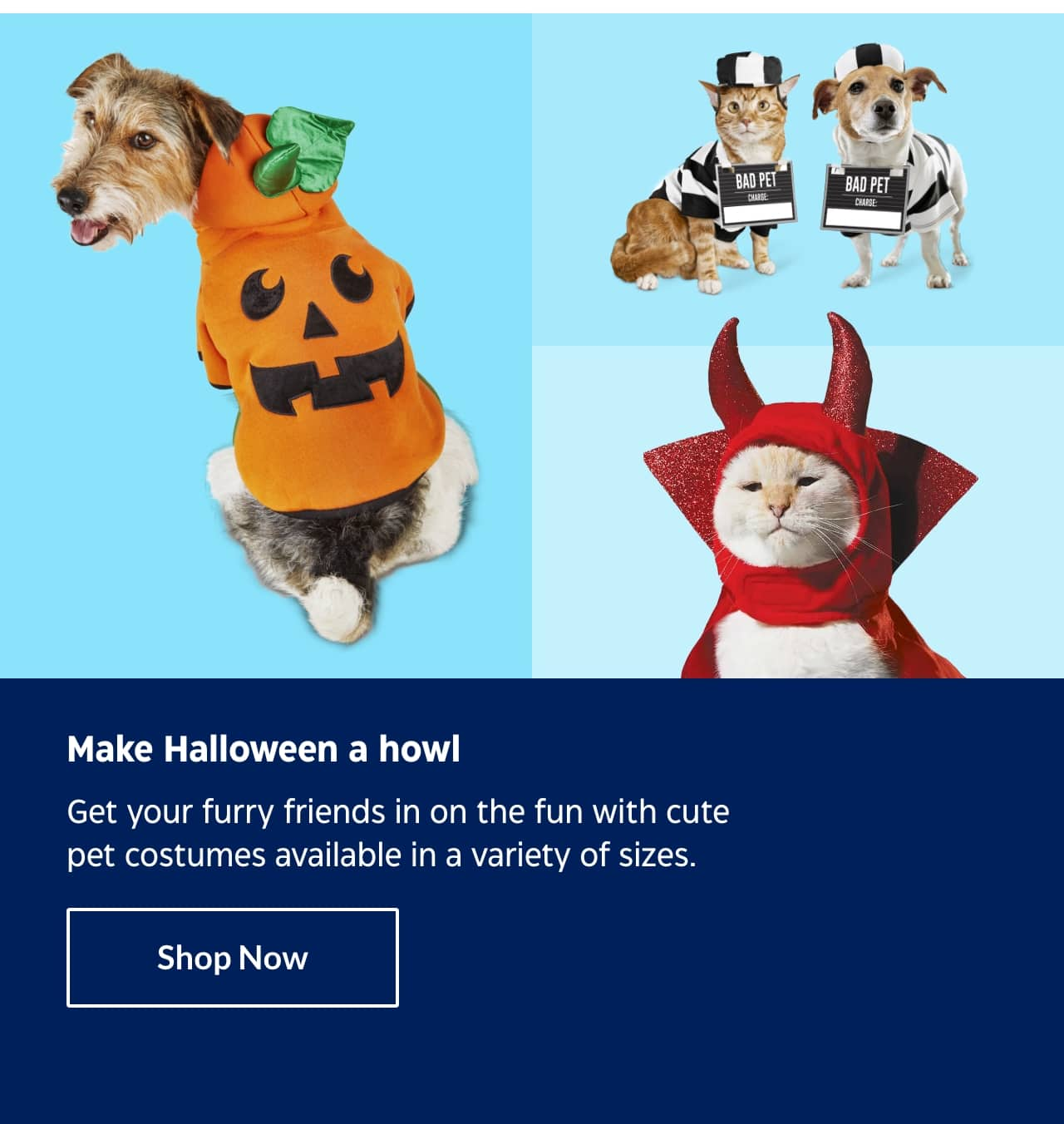 Make Halloween a howl. Get your furry friends in on the fun with cute pet costumes available in a variety of sizes. Shop Now.