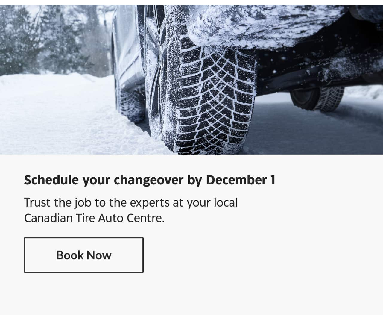 Schedule your changeover by December 1. Trust the job to the experts at your local Canadian Tire Auto Centre. Book Now.