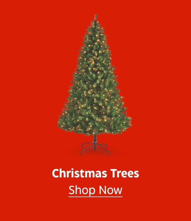 Christmas Trees. Shop Now.