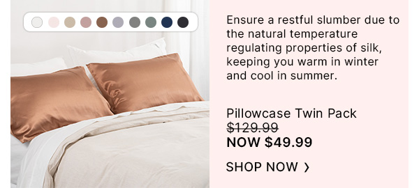 100-Pct-Mulberry-Silk-Beautysilks-Pillowcase-Twin-Pack-Image