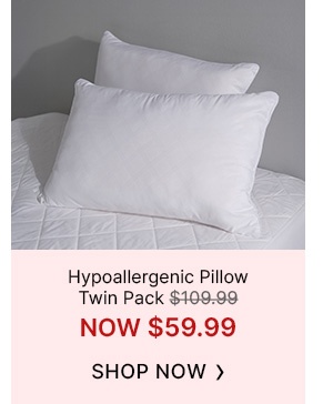 Hypoallergenmic-Pillow-Twin-Pack-Image