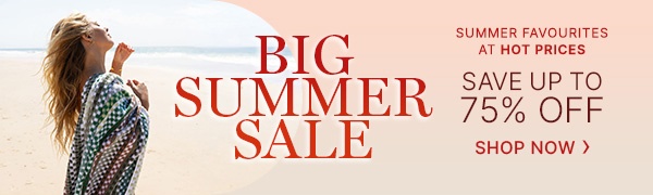 Big-Summer-Sale-Banner