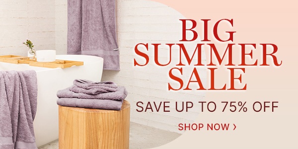 Big-Summer-Sale-Image