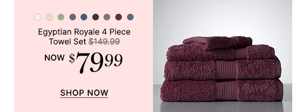 Egyptian-Royale-4-Piece-Towel-Set-Image