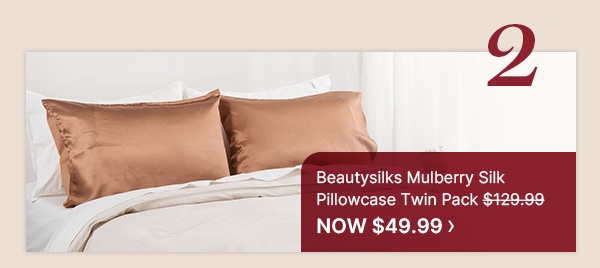 Beautysilks-Mulberry-Silk-Pillowcase-Twin-Pack
