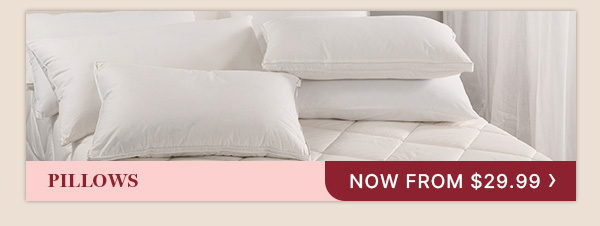 Pillows Now From $29.99