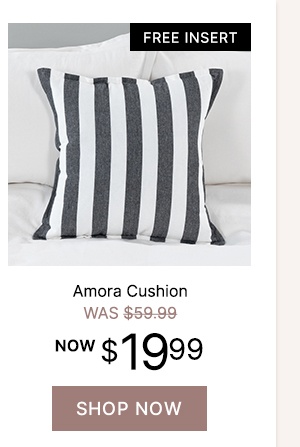 Amora Cushion - WAS $59.99 | NOW $19.99