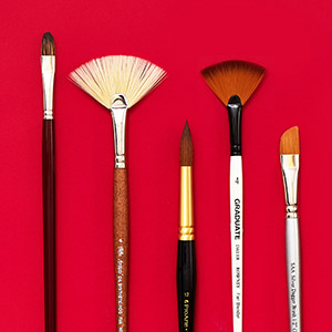 brushes sale