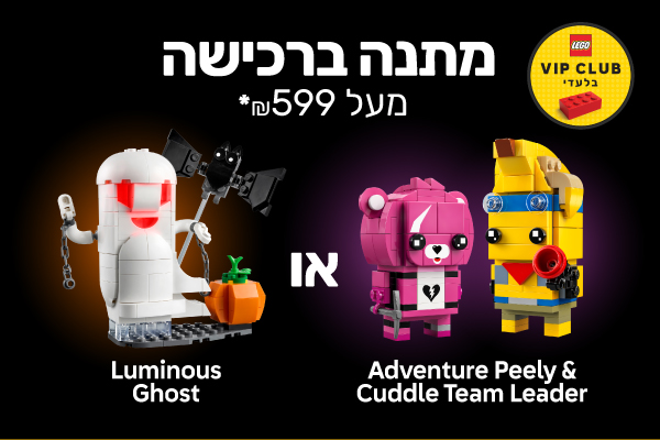 מתנה ברכישה מעל 599