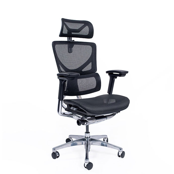 Image of Ергономичен стол ErgoPro Ultra