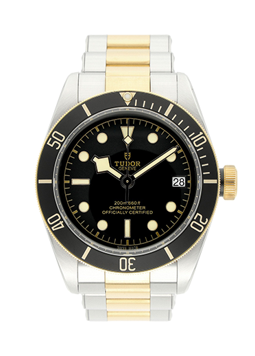 Tudor Black Bay S&G