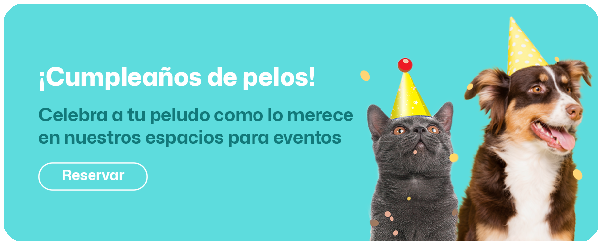 Celebrar Cumpleaños 