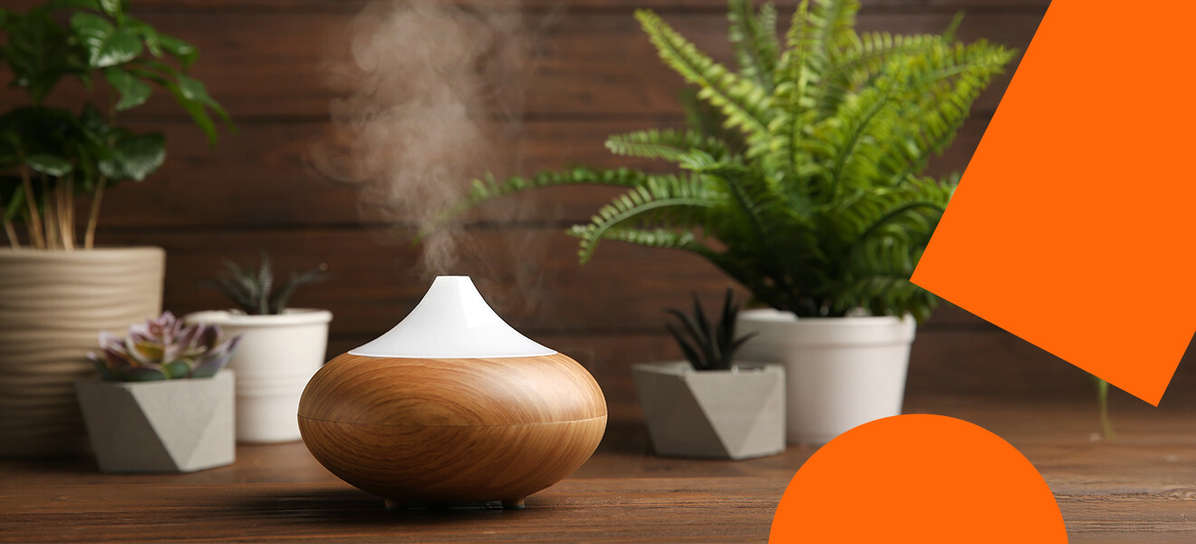 Arome magice de cum intri pe ușă