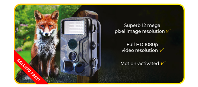 Wildlife Camera