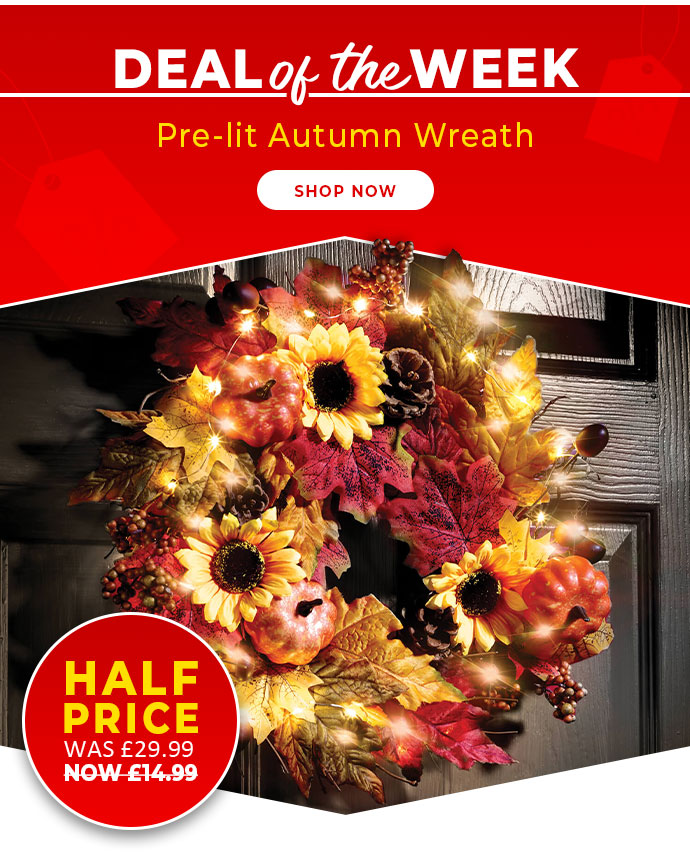 Half Price Flash Sale - Pre-Lit Autumn Wreath