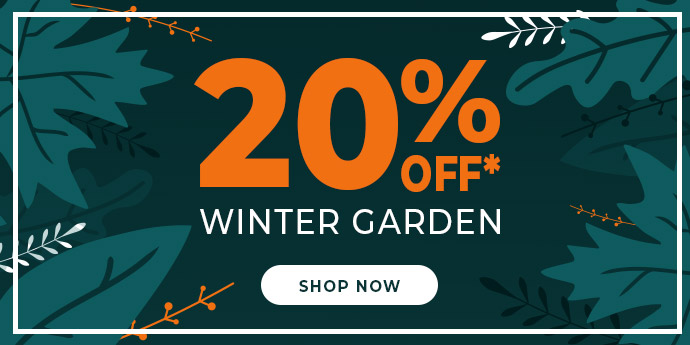 20% OFF WINTER GARDEN