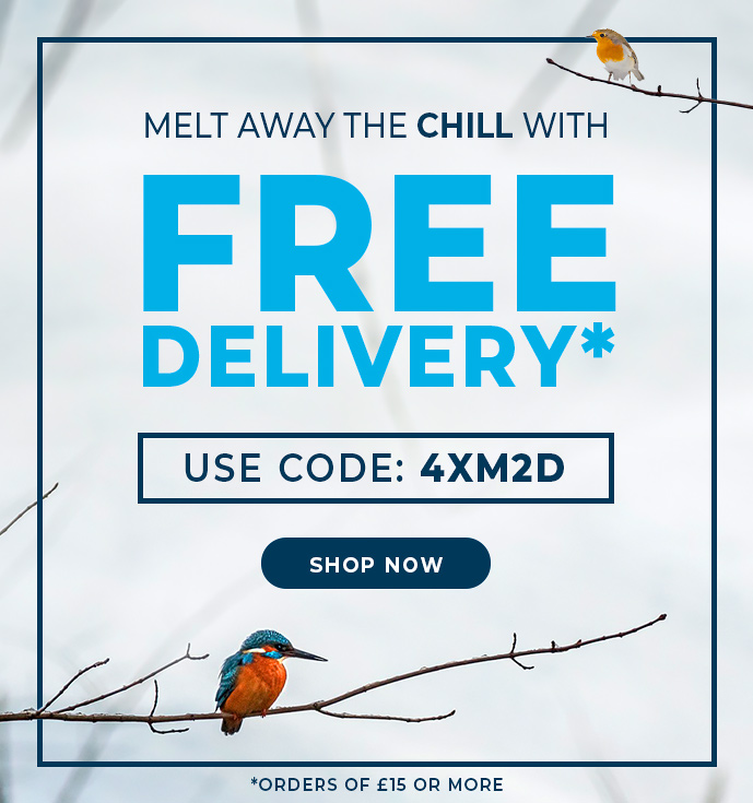 Too Cold to Go Out? Get Free Delivery While You Stay In!