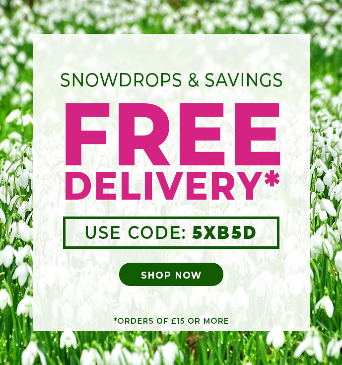 Spring Savings Are Blooming! Ready for FREE Delivery?