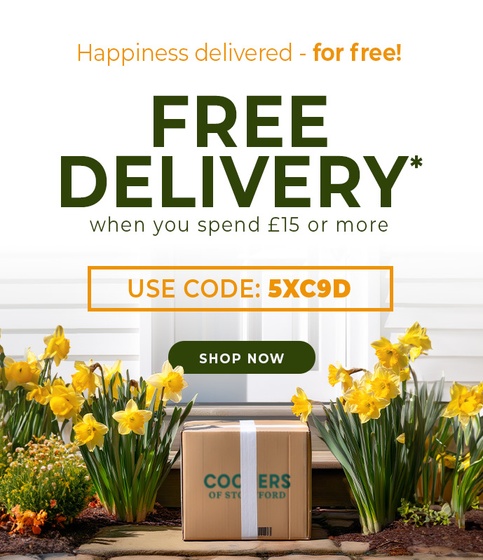 A Special Free Delivery Treat!