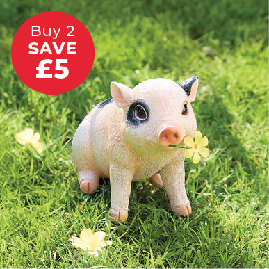 Squiggles the Baby Pig - Buy 2 Save £5