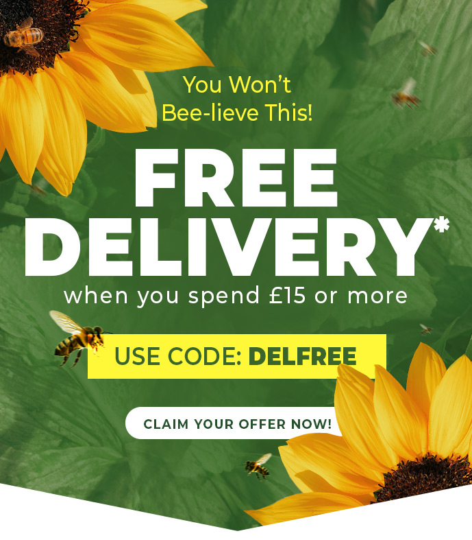 FREE DELIVERY