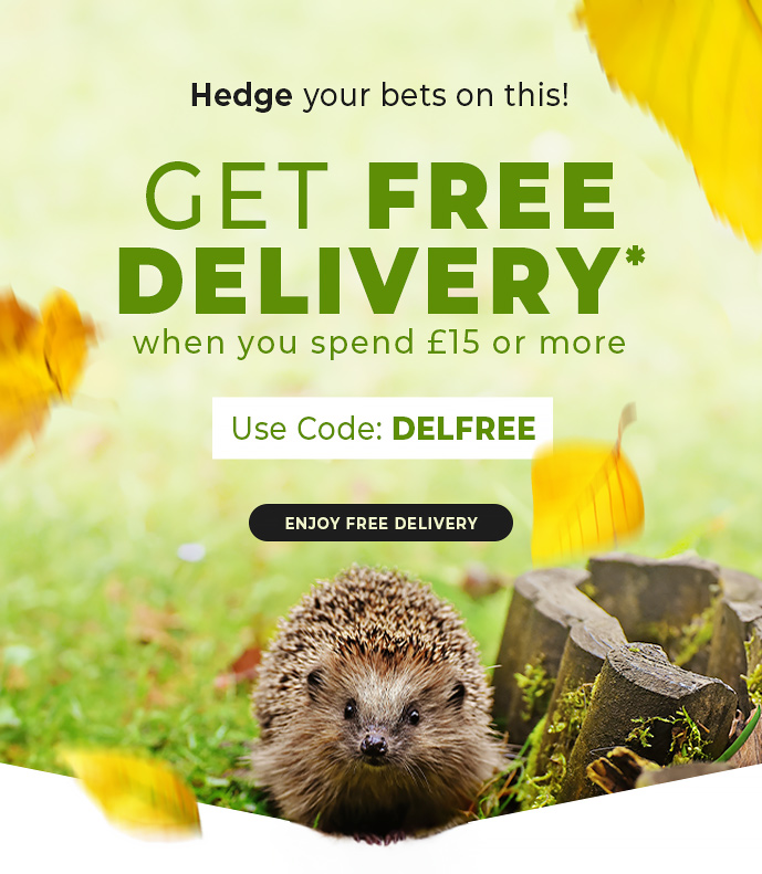 Shop with Free Delivery