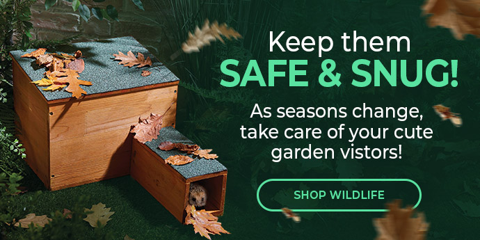 Shop with Free Delivery