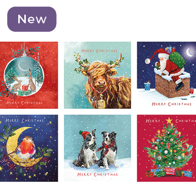 Box of 30 Charity Christmas Cards
