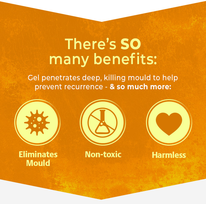 Pack of 2 Mould Wizard 120g