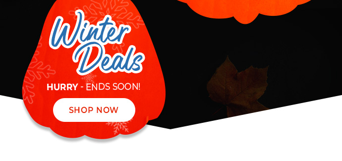 Winter Deals