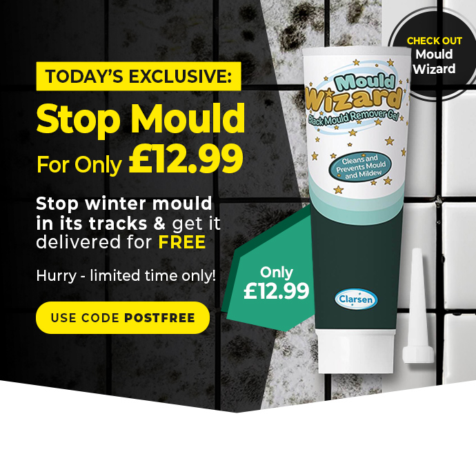 Pack of 2 Mould Wizard 120g