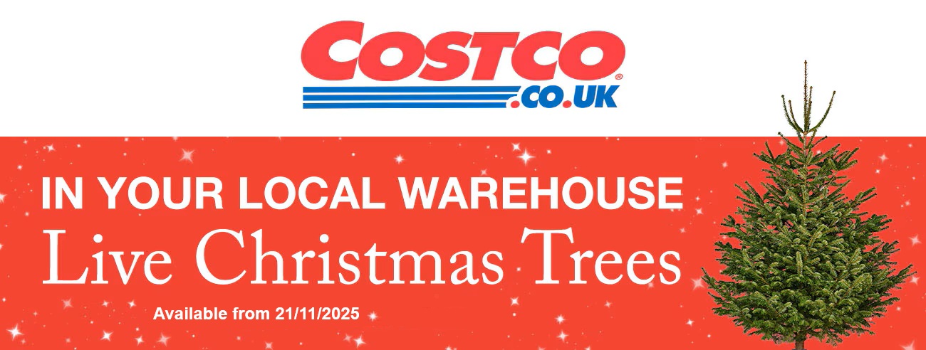 live christmas trees