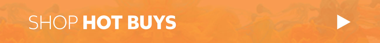 Shop Hot Buys