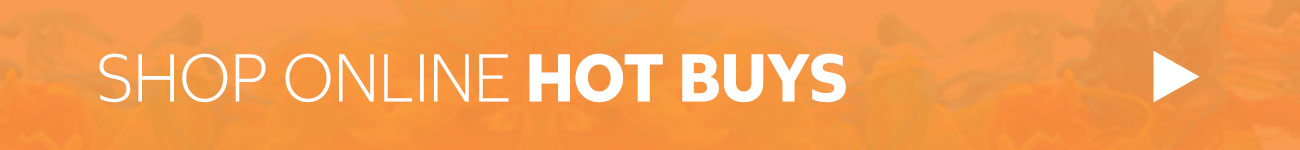 Shop Hot Buys