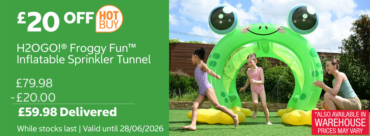 h20go froggy fun inflatable