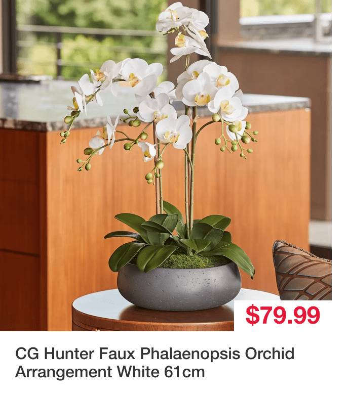 CG Hunter Faux Phalaenopsis Orchid Arrangement 61cm