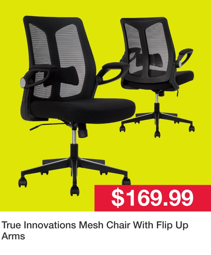 True Innovations Mesh Chair With Flip Up Arms