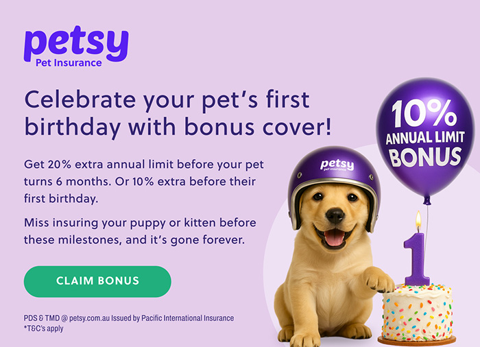 Petsy Pet Insurance | Banner