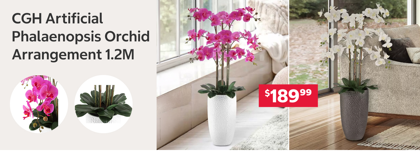 CGH-Artificial-Phalaenopsis-Orchid