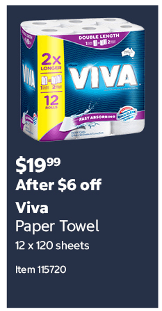 Viva Paper Towel 12 x 120 sheets