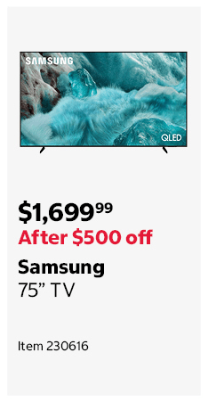 Samsung 75” TV