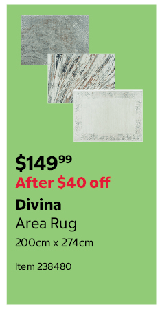 Divina Area Rug 200cm x 274cm Item 238480